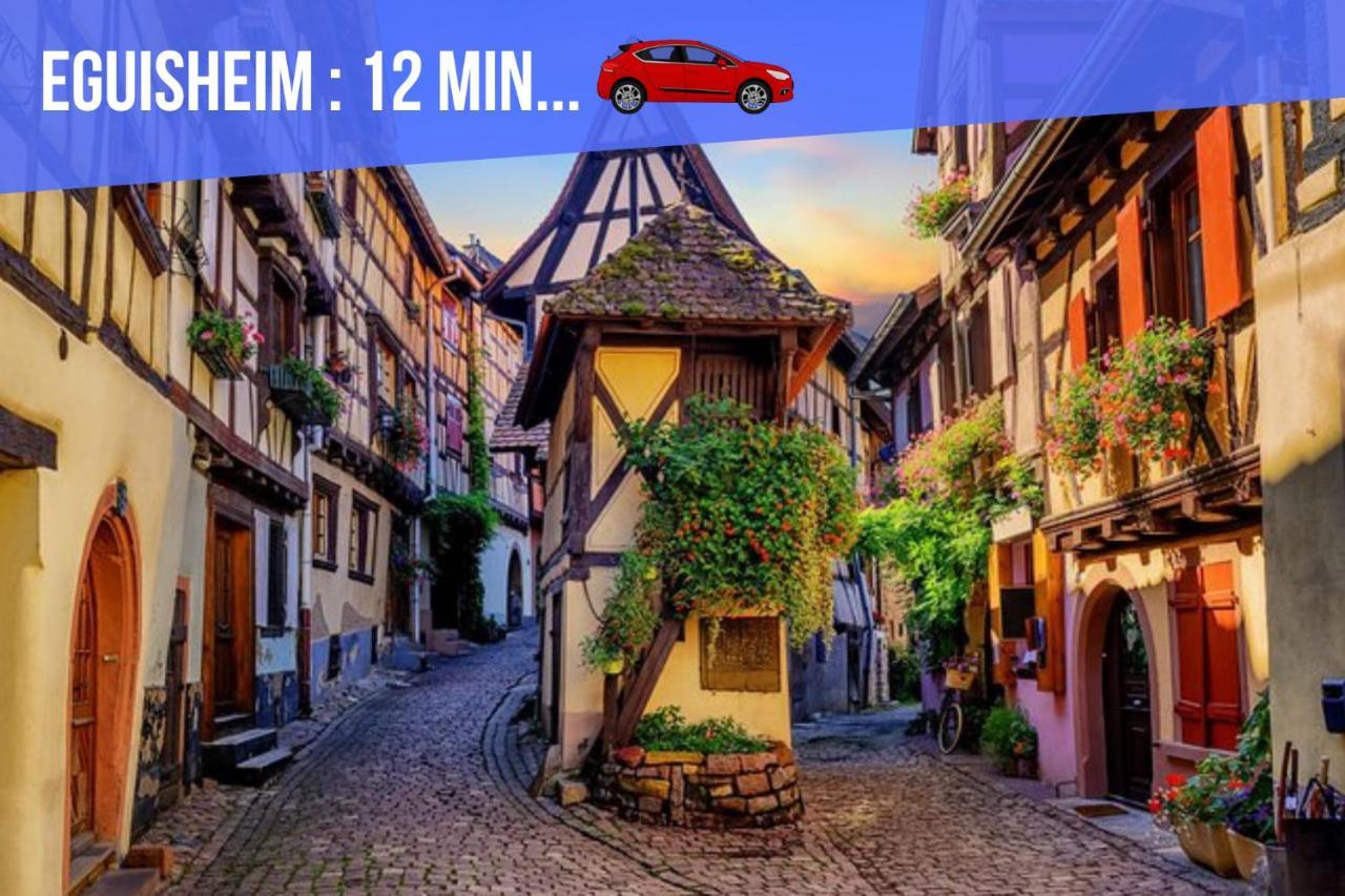Appartement La Petite Venise 3pièces Lit King Size Free Parking à Colmar Extérieur photo