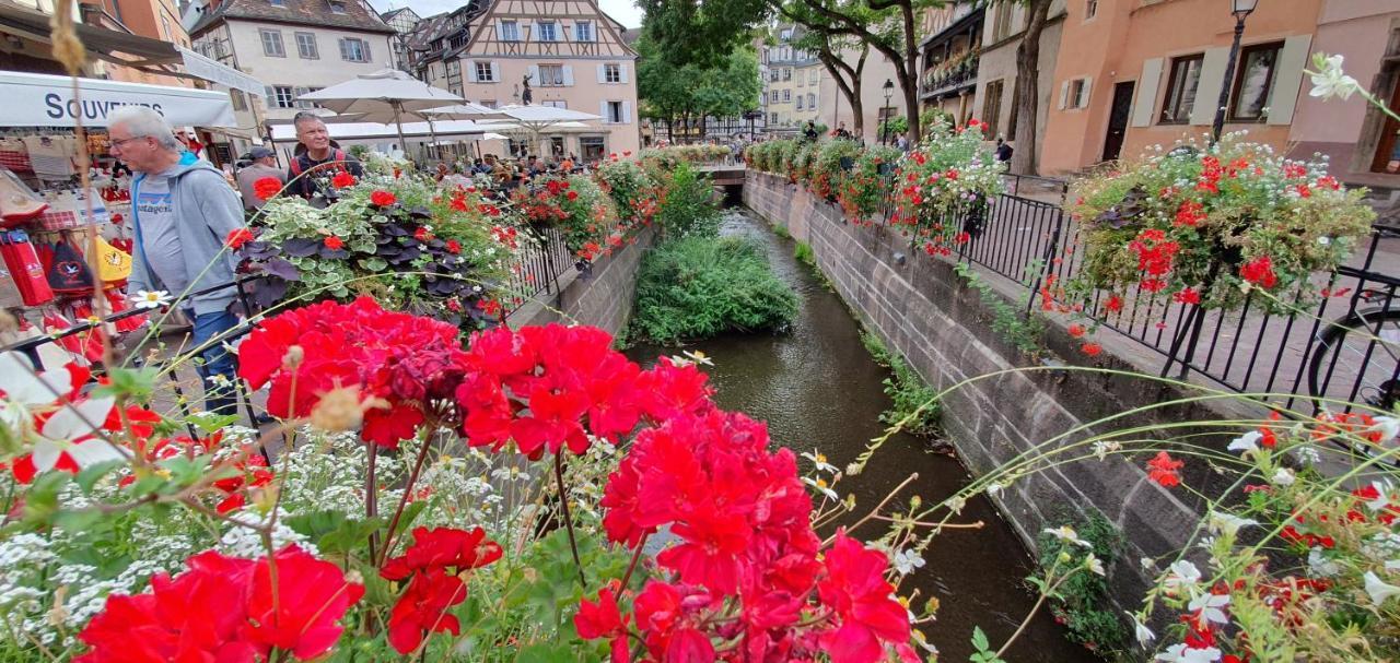 Appartement La Petite Venise 3pièces Lit King Size Free Parking à Colmar Extérieur photo