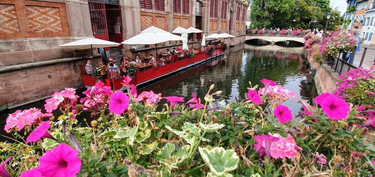 Appartement La Petite Venise 3pièces Lit King Size Free Parking à Colmar Extérieur photo