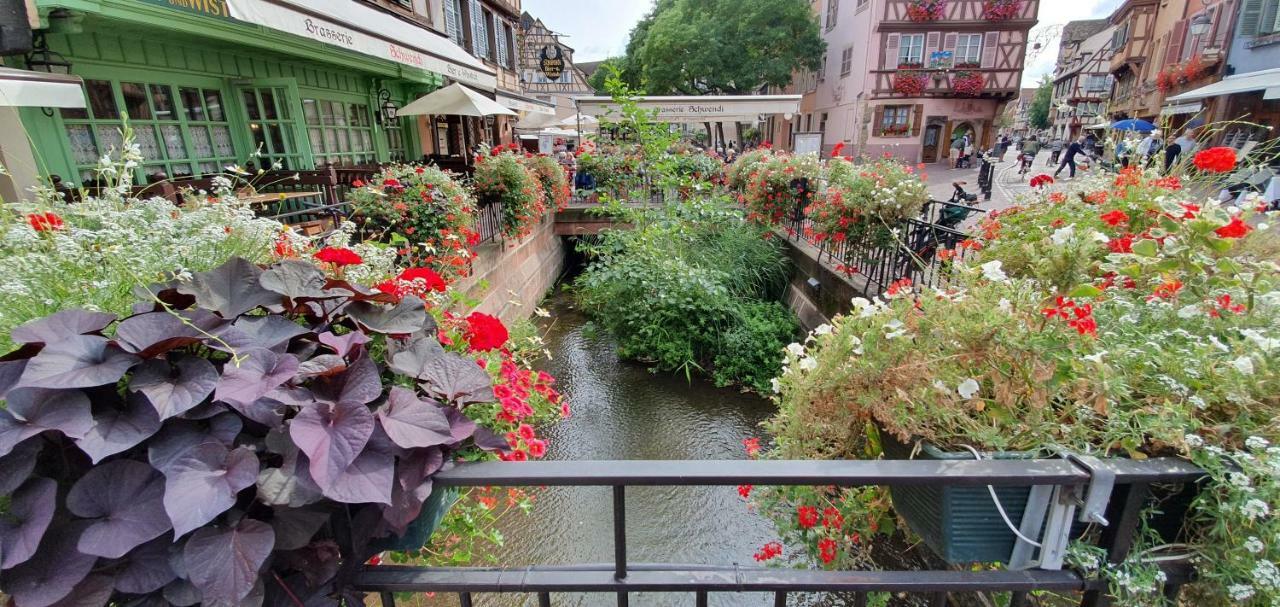 Appartement La Petite Venise 3pièces Lit King Size Free Parking à Colmar Extérieur photo